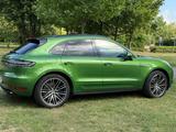 Porsche Macan - - - Porsche: Grün