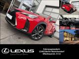 Lexus UX 250h 2,0 HEV F SPORT - rote Lexus UX