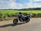 Honda CBF 600 PC43 - TÜV NEU 05/27!! - HONDA CBF 600 PC43