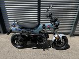 Honda DAX 125 / MY 2025 / "GOLDEN SUMMER WEEKS"
