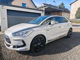 Citroën Citroen DS5 Hybrid4 Sportchic Automatik Vo... - Citroën DS5: Sportchic