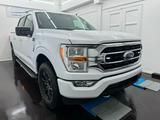 Ford F 150 3.5 Eco XLT 4x4 Facelift/CrewCab/LKW/NAVI/ - Ford F 150 aus 2021