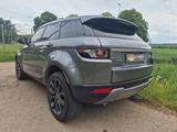 Land Rover Range Rover Evoque Pure Technik - Diesel Gebrauchtwagen in Reutlingen