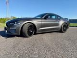Ford Mustang 5.0 V8 GT inkl. Werksgarantie - Ford Mustang: I