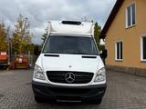 Mercedes-Benz Sprinter 516  Kühlkoffer BÄR LBW Viento Kühlung - Ladebordwand Bär