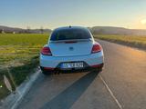 Volkswagen Beetle 2.0 TDI DSG R-Line, Liebhaber Fahrzeug - Volkswagen Beetle: 2.0