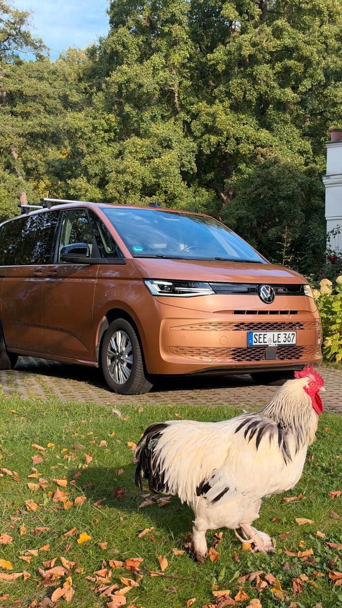 Volkswagen T7 Multivan 1,5 TSI OPF DSG Life Life