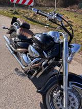 Suzuki VL 800 Volusia  - SUZUKI VL 800 VOLUSIA