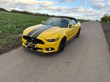 Ford Mustang GT 5.0 Ti-VCT V8 Cabrio foliert BullX - Ford Mustang mit Benzin-Antrieb: Cabrio, 5.0