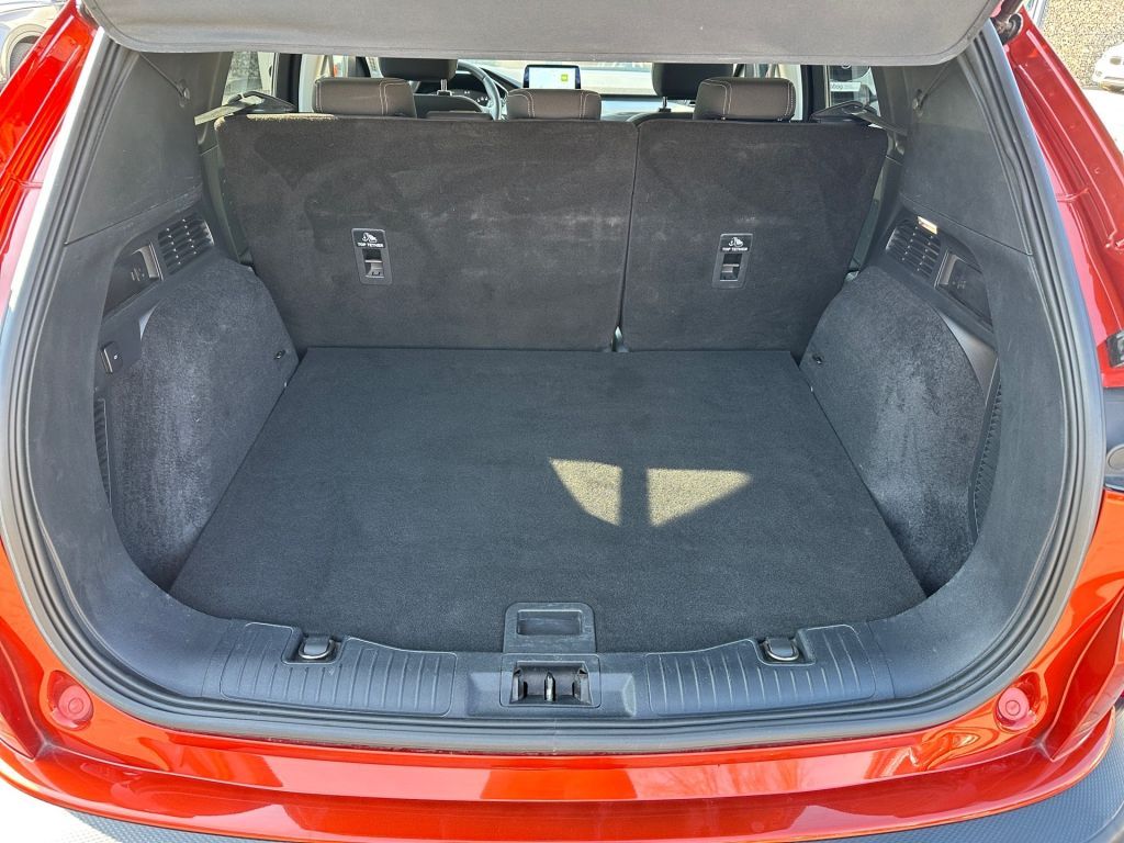 Ford Kuga 1.5 TITANIUM Allwetter Kamera Shz Lhz – Bild 7