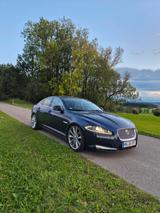 Jaguar XF S 3.0D TÜV 05/27 - Jaguar XF mit Diesel-Antrieb: 2.0