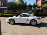 Porsche Cayman 987.2 PDK - 2012 - 76,500 km - Porsche: 987