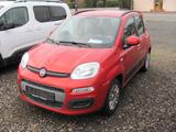 Fiat Panda 1.2 8V Lounge - Fiat Panda: Orange