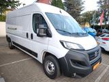 Fiat Ducato Kastenwagen 35 L4H2 140 - Fiat Ducato in Magdeburg