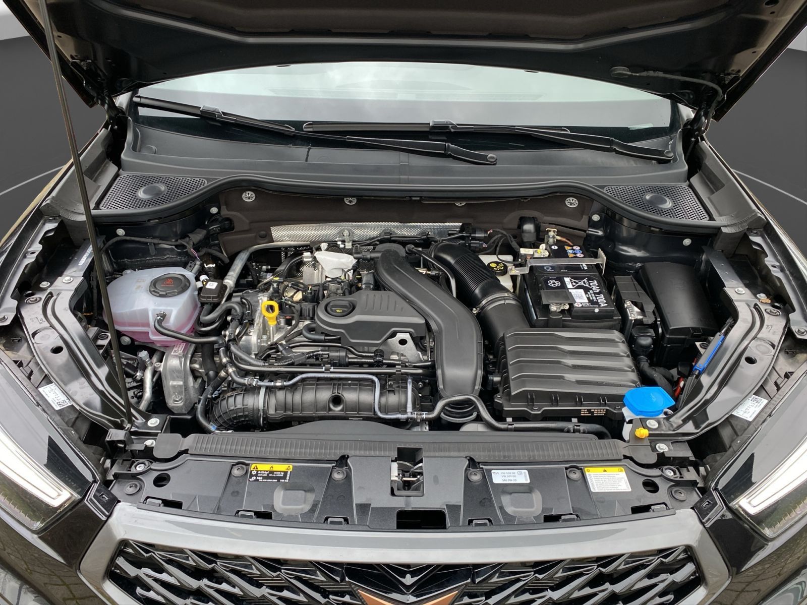 Cupra Ateca - Bild 22