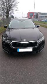 Skoda Oktavia NX 2.0 TDI, Bau 2020 - Skoda: Oktavia