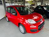 Fiat Panda Pandina Hybrid 1.0 GSE SITZH.CITYPAKET - rote Fiat New Panda