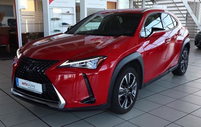 Lexus UX 250h LED Kamera Lenkradhzg. 18" Felgen