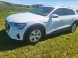 Audi E-tron 50 - Audi Q8 e-tron SUV
