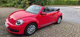Volkswagen New Beetle Cabrio  - VW New Beetle von privat