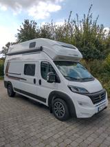Weinsberg CaraBus 600 MQH mit TOP-Ausstattung! - Angebote