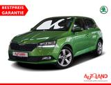 Skoda Fabia 1.0 MPI Active Sitzheizung DAB PDC - gebrauchte Skoda Fabia aus dem Jahr 2019