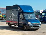 Mercedes-Benz Sprinter 319 CDi KHG Mystic Pferdetransporter - Tier-/Pferdetransport 3 pferde