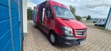 Mercedes-Benz Sprinter - Mercedes-Benz Sprinter Gebrauchtwagen in Münster
