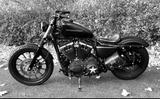 Harley-Davidson 5 HD Sportster 883 Iron - Thunderbike - Offers