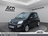 Fiat Panda 1.0 City Life |KLIMA|PDC|GARANTIE|ALLWETTE - Fiat Panda: Pickup