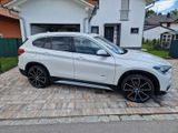 BMW X1 xDrive25i xLine Steptronic Head-Up HK HiFi  - BMW X1 aus 2015