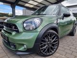 MINI Cooper S Paceman Leder Nav Xenon PDC SHZ 19-Zoll - MINI Cooper S Paceman Benziner Gebrauchtwagen