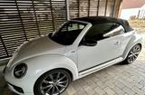 Volkswagen Beetle 2.0 TDI R-Line DSG SHZ Tempo Nav - Volkswagen Beetle: TDI