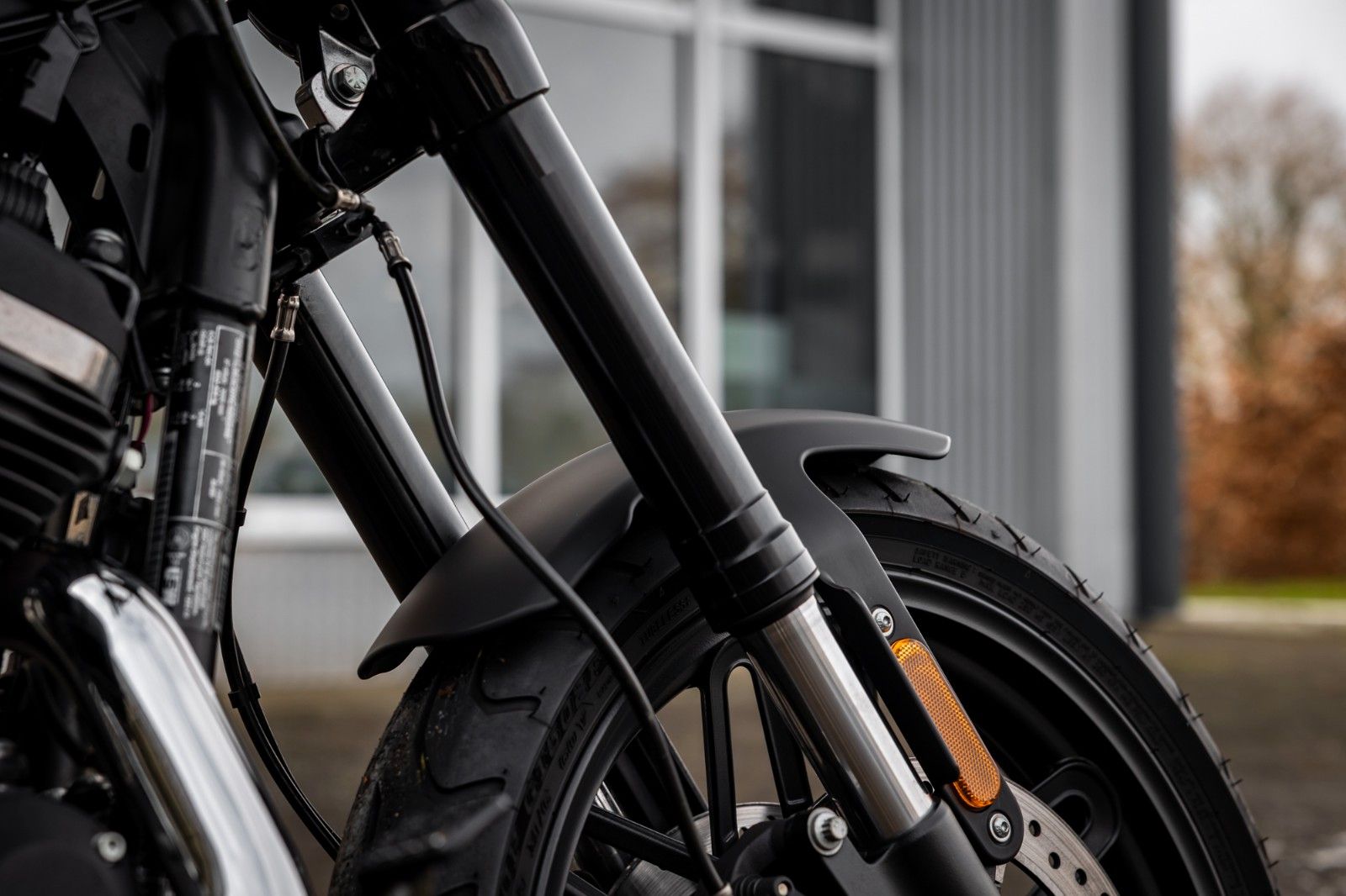 Fahrzeugabbildung Harley-Davidson XL1200CX Sportster Roadster - PENZL V2 -