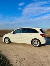 Mercedes-Benz B 250 AMG Line seltener Schalter - Mercedes-Benz Sel AMG