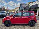 Fiat Panda Pandina Cross Tempomat PDC hinten Bluetoot - Fiat Panda: Pandina