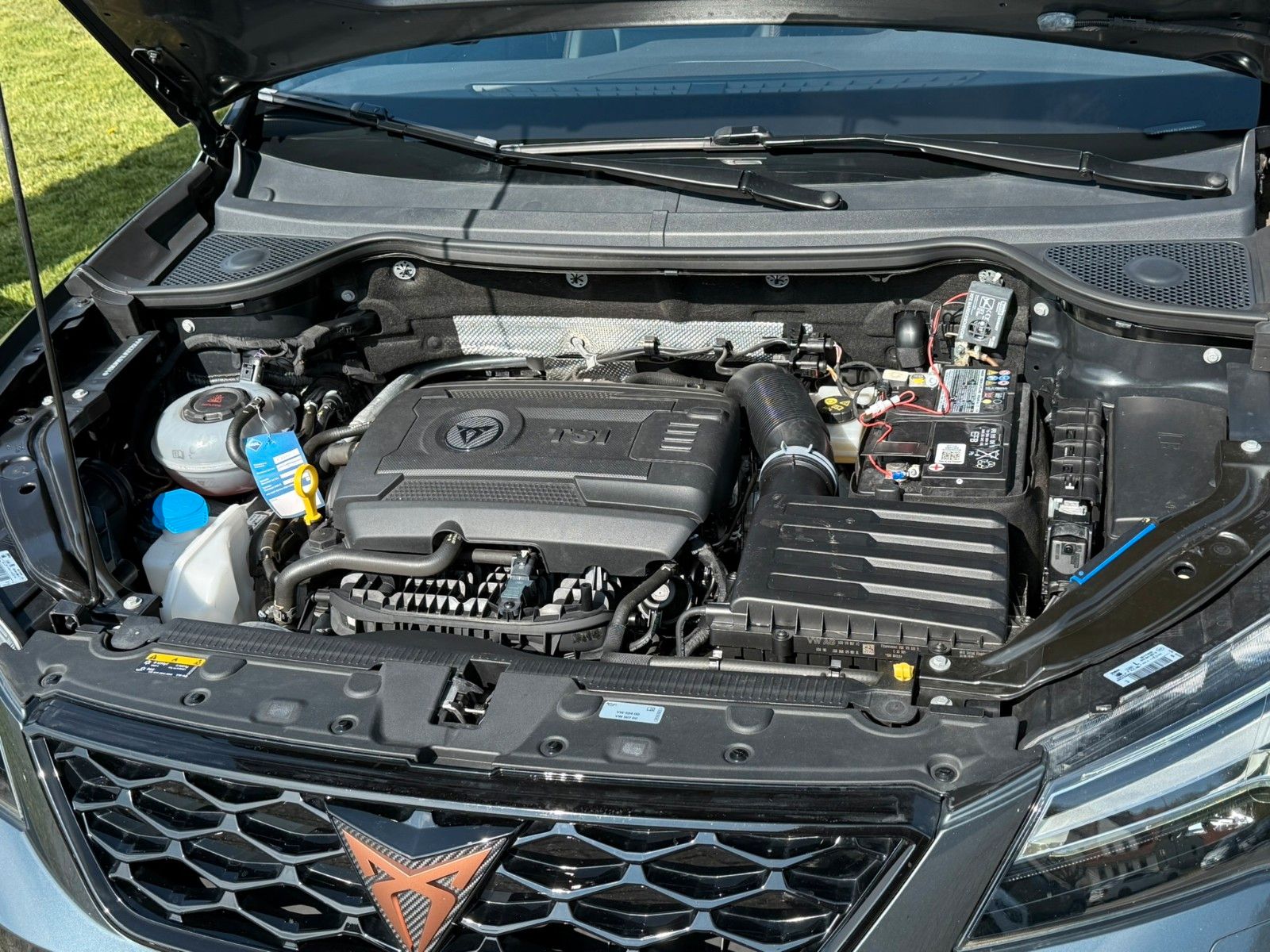 Fahrzeugabbildung CUPRA Ateca Limited Edition 4Drive 360° KAMERA+AHK++