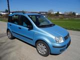 Fiat New Panda 1.2 8V Alessi HU NEU - blaue Fiat New Panda