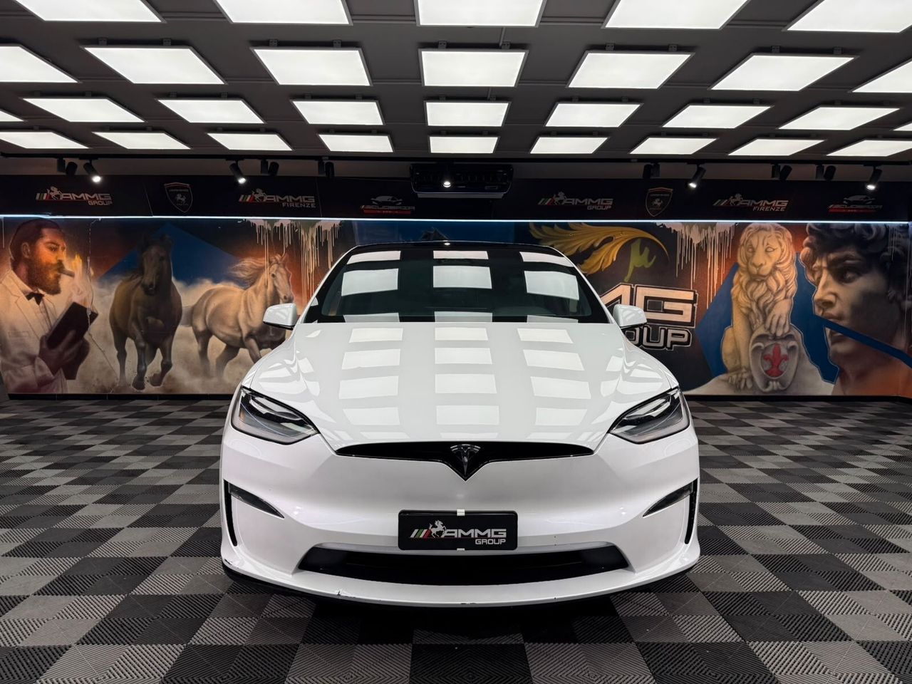 Tesla Model X Dual Motor AWD (803) imagem 2