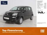 Fiat Panda 1.0 GSE Hybrid Pandina Icon - Fiat Panda Neuwagen mit Benzin-Antrieb