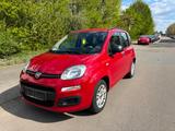 Fiat Panda 1.2/Klima/2Hand/Service neu/Tüv bis07-2026 - Fiat Panda in Ludwigshafen