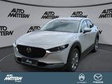 Mazda CX-30 Exclusive-Line  Assistance & Sound-Paket - Mazda CX-30 in Bielefeld