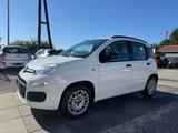 Fiat Panda My Panda Sportsitze Sport Lenkrad - Fiat Panda aus 2014