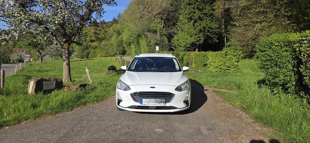 Image of Ford Focus