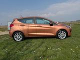 Ford Fiesta 1,0 EcoBoost 74kW Titanium Titanium - Ford Fiesta Gebrauchtwagen in Mannheim