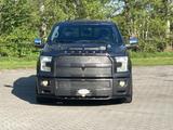 Ford www.terpautos.nl - graue Ford F 150