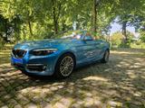 BMW Rarität: 220i Steptronic Cabrio Luxury Line - BMW 2 Series in Düsseldorf