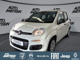 Fiat Panda Pandina 1.0 GSE Hybrid 48 kW Icon - Fiat Panda Tageszulassungen mit Benzin-Antrieb