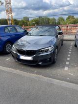 BMW 220i Cabrio M Sport, Radio Professional, Harman  - BMW: Navigationssystem, Professional