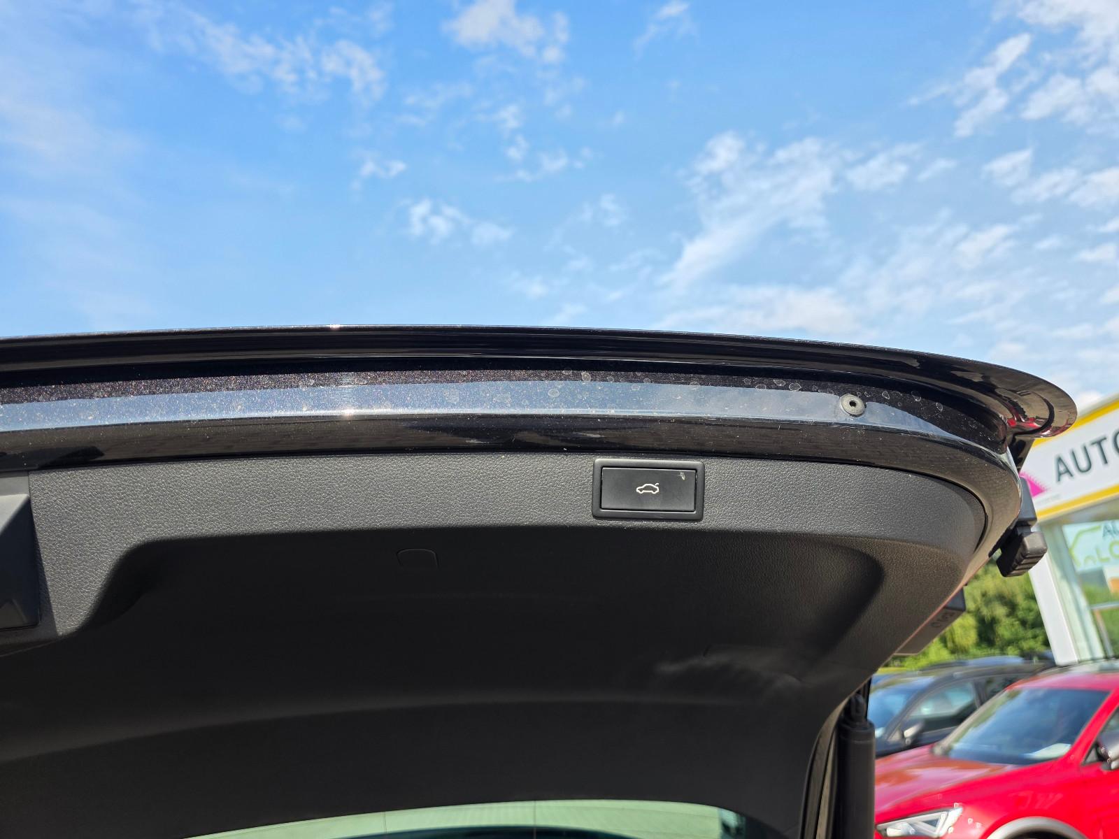 Skoda Octavia Combi RS Panorama Rückfahrkamera AHK, миниатюра 13